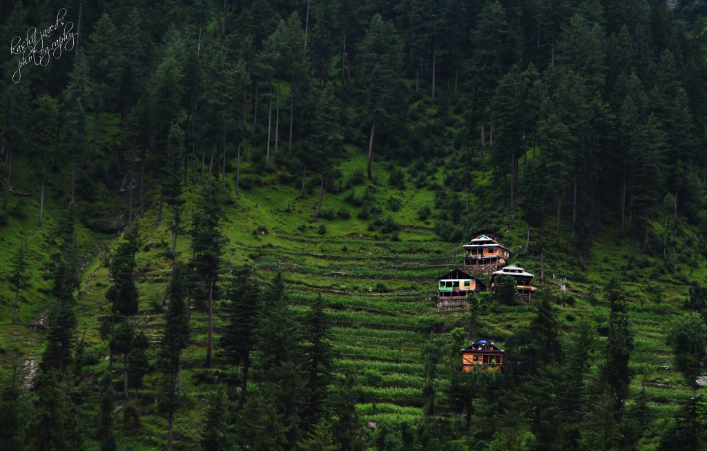 Houses in Neelum Valley