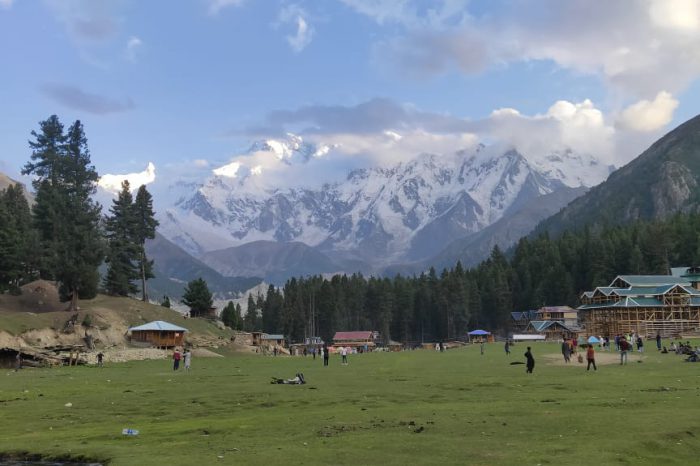 Fairy Meadows