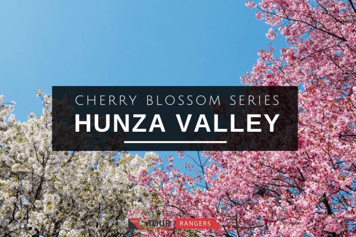 Cherry Blossom Hunza Trip