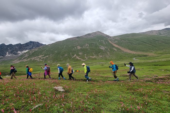 Thallo Pass Trek